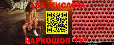прущие грибы Дубна