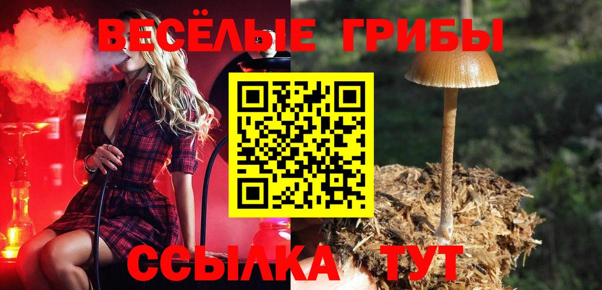 Псилоцибиновые грибы мухоморы Печора